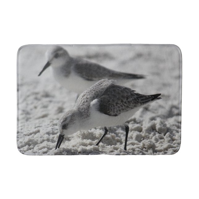 adorable grey and white wildlife photo sea gulls badrumsmatta (Framsidan)