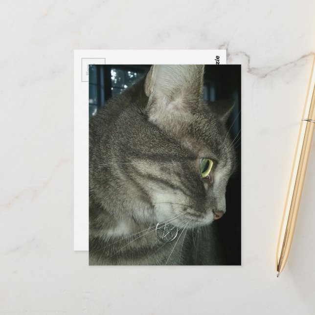 adorable grey tabby cat vykort (Fram/Back In Situ)