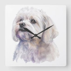 ADORABLE LITTLE WHITE MALTESE PUPPY HUND FYRKANTIG KLOCKA