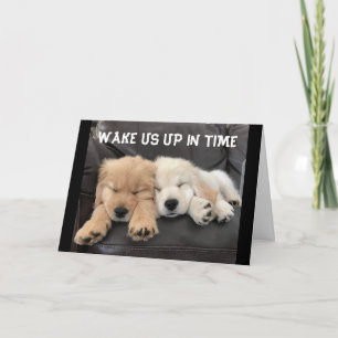 ADORABLE NAPPING VALPS VILL "DU GOD JUL" KORT