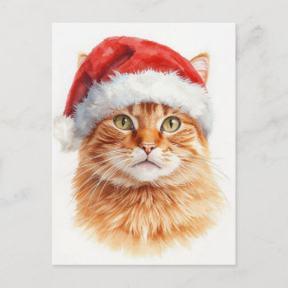 Adorable Orange Tabby Cat in Santa Hat Helg Vykort