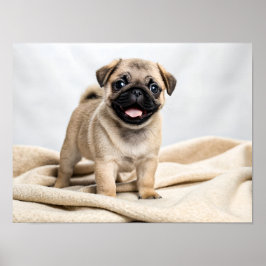 Adorable pug puppy poster