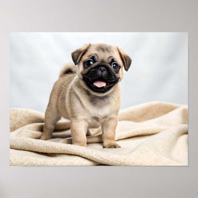 Adorable pug puppy poster (Framsidan)