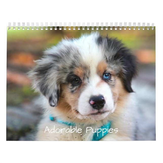 Adorable Puppies 2026 Cute Dog Kalender (Omslag)