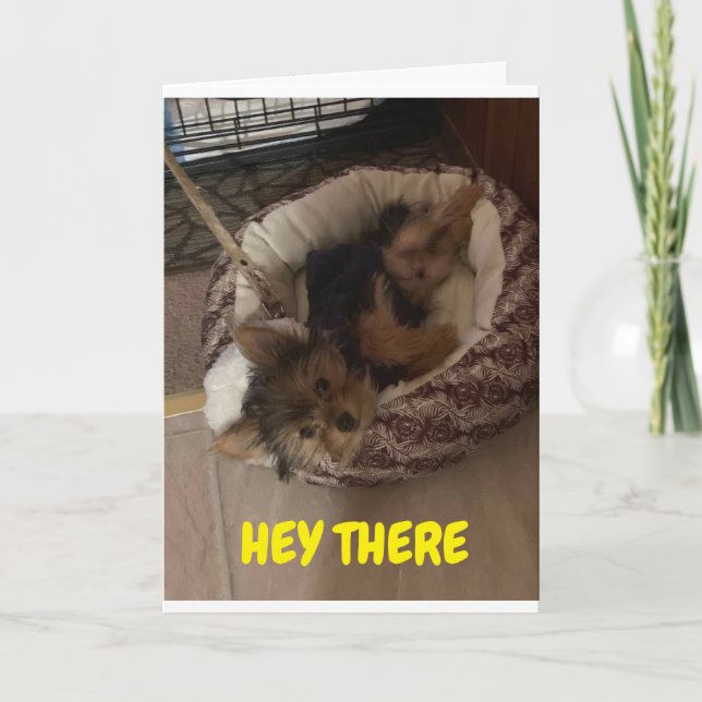 ADORABLE PUPPY WAKS UP TO SAY "GRATTIS PÅ FÖDELSED KORT (Framsida)