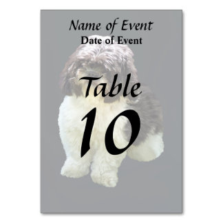 Adorable Shih Tzu Puppy Bordsnummer