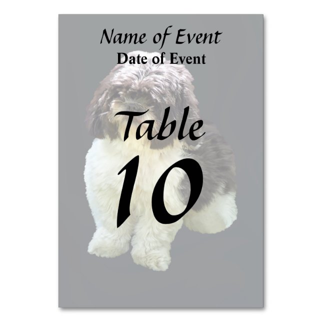 Adorable Shih Tzu Puppy Bordsnummer (Framsidan)