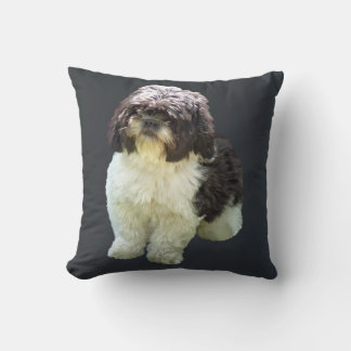 Adorable Shih Tzu Puppy Kudde