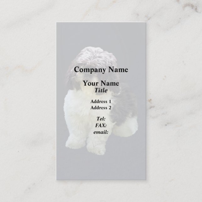 Adorable Shih Tzu Puppy Visitkort (Framsida)