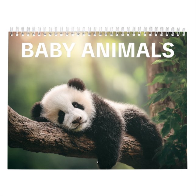 Adorable Wildlife Photography | Baby Animals Wall Kalender (Omslag)