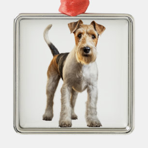 ADORABLE WIRE HAIRED FOX TERRIER HUND JULGRANSPRYDNAD METALL