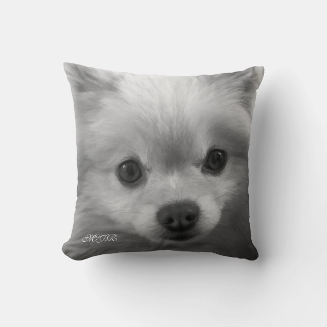 Adorably gullig Pomeranian valpMonogram Kudde (Framsida)