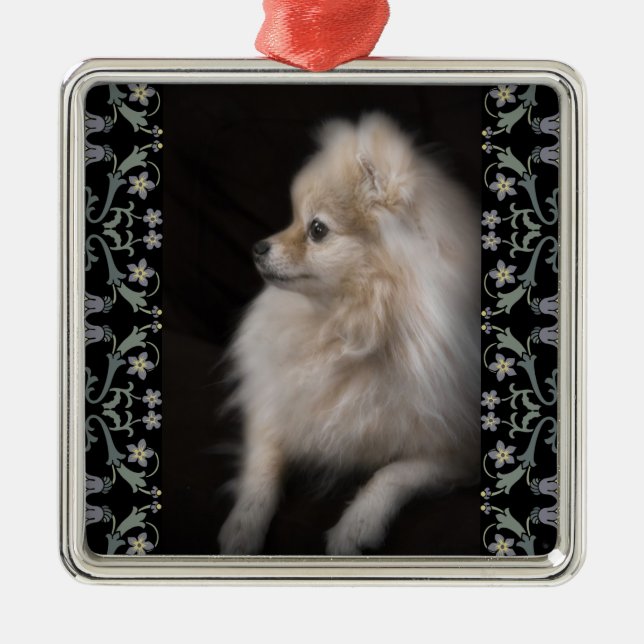 Adorably gullig posera Pomeranian valp Julgransprydnad Metall (Framsidan)