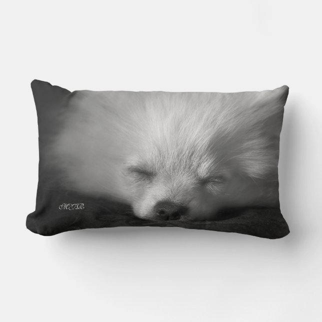 Adorably gullig ta sig en lur Pomeranian Monogram Lumbarkudde (Framsida)