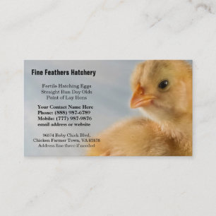 Adorably gulligt gult babychickfoto visitkort