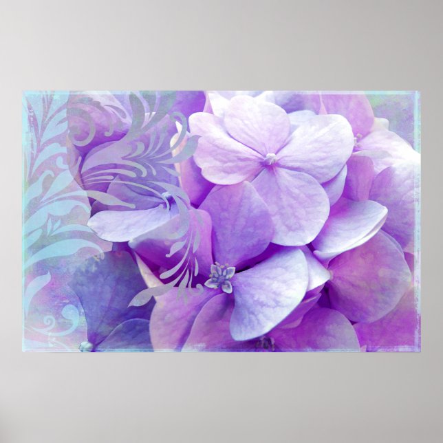 Adoration, Lila Hydrangea Poster (Framsidan)