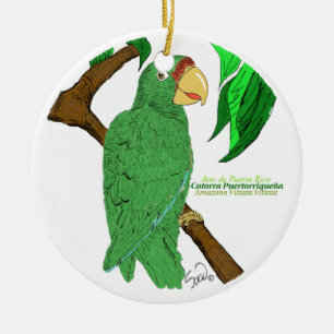 Adorno Cotorra de Puerto Rico Julgransprydnad Keramik