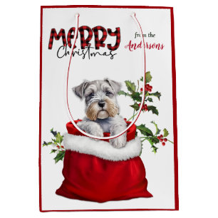 Adous Schnauzer Terrier Hund Puppy jul