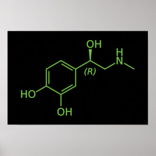 Adrenalinmolekyl Kemiskt Diagram Poster