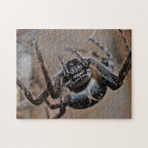 Adress Arachnid Spider Makro Photo Puzzle Pussel
