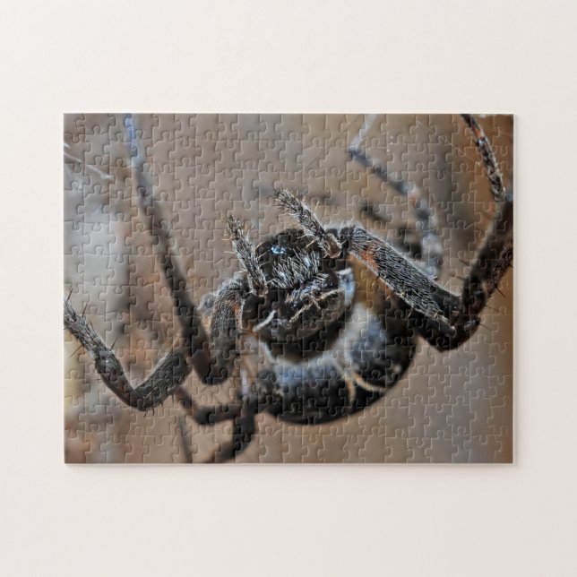 Adress Arachnid Spider Makro Photo Puzzle Pussel (Horisontell)