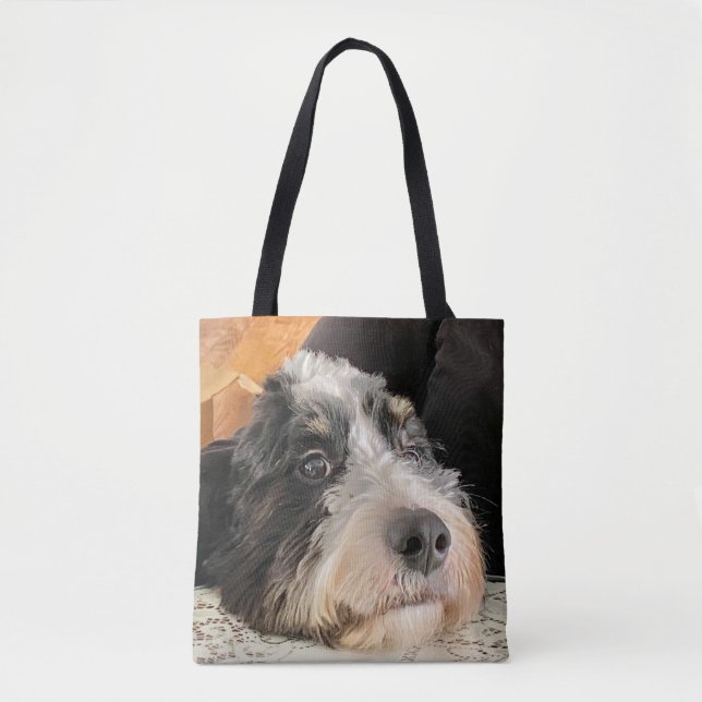 Adress Bernedoodle Tygkasse (Framsida)