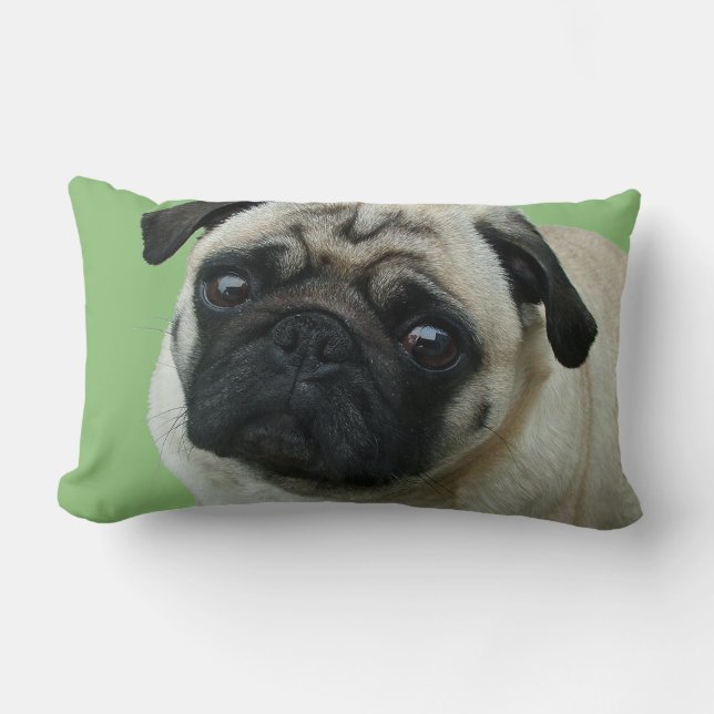 Adress Pug American MoJo Lumbar Pillows Lumbarkudde (Framsida)