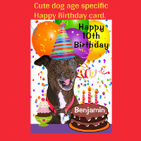 Adress Rolig hund Age Specific Grattis på födelsed