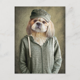 Adress Shih Tzu Wearing a Cap and Hoodie Vykort