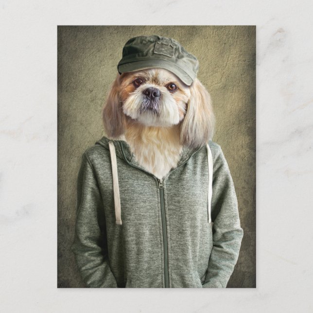 Adress Shih Tzu Wearing a Cap and Hoodie Vykort (Framsida)