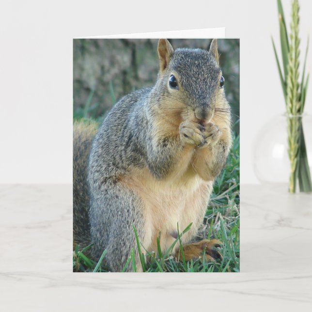 Adress Tillfällen Greeting Card Kort (Framsida)