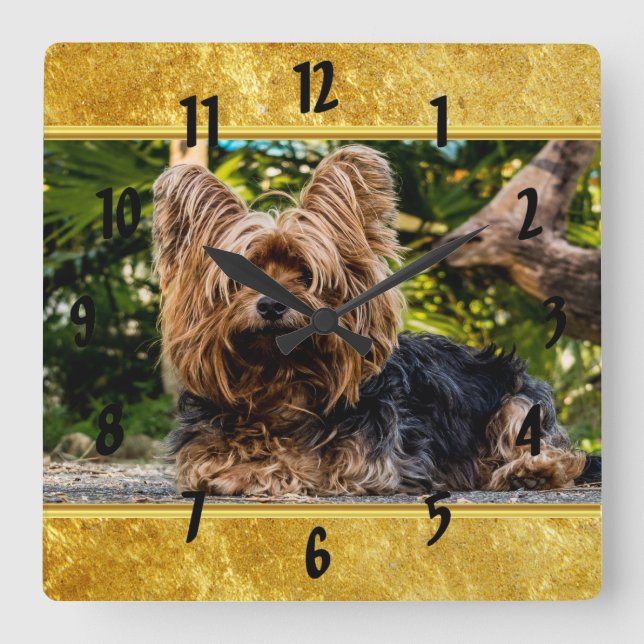 Adress Yorkshire skräcker guld folie design Fyrkantig Klocka (Framsida)