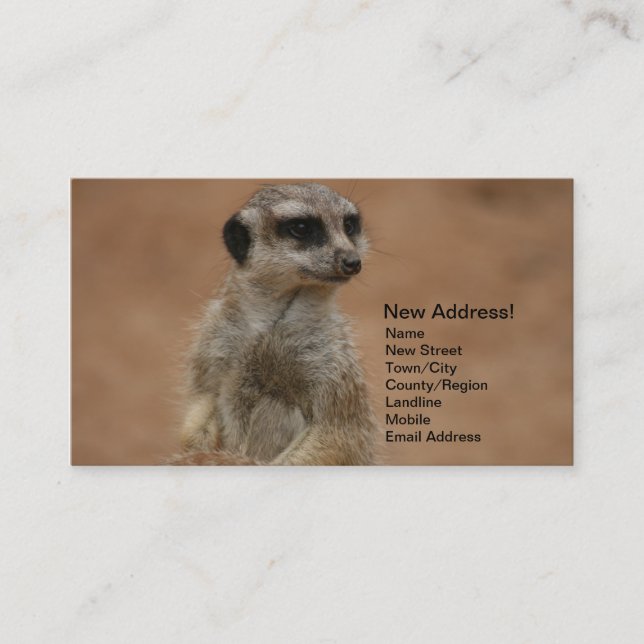 Adressändringkort - Meerkats Visitkort (Framsida)