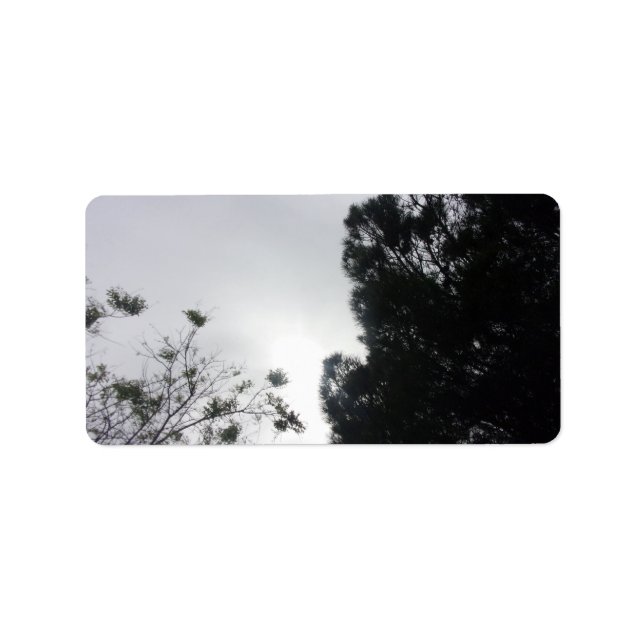 Adressetikett COOL ECO STYLE (Framsidan)