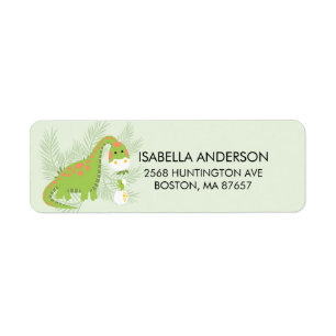 Adressetikett för Dinosaur Baby Shower Returadress Etikett