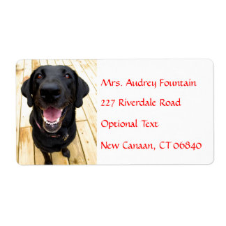 Adressetikett för Labrador Retriever Personlig Nam Fraktsedel