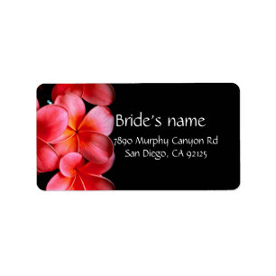 Adressetikett för Luxury Rosa Elegant Plumeria