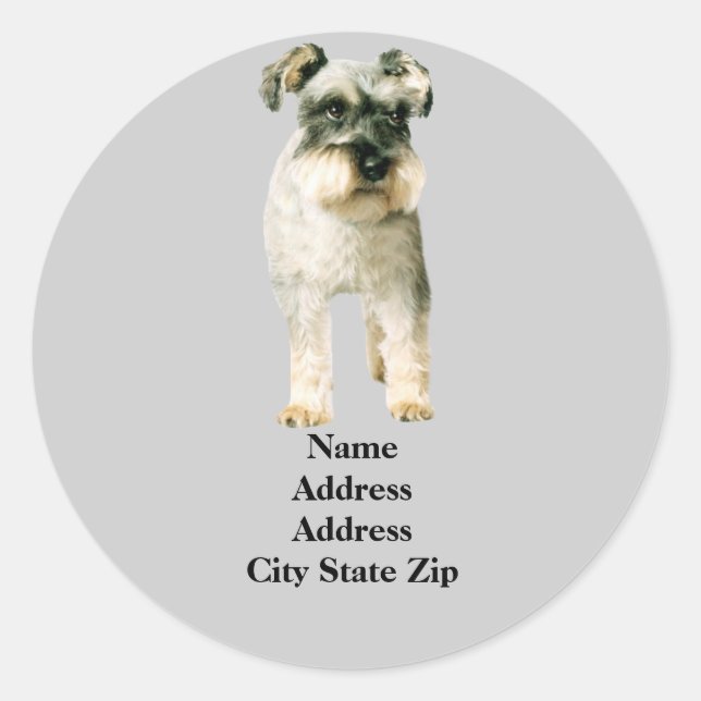 Adressetikett för Miniature Schnauzer Runt Klistermärke (Framsida)