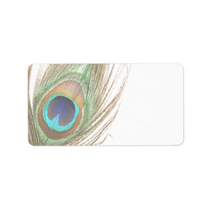 Adressetikett för peacock Feather