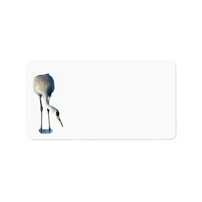 Adressetikett för Sandhill Crane Photo Stationery (Framsidan)
