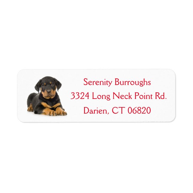 Adressetikett Rottweiler Puppy Hund Red Hund Returadress Etikett (Framsidan)