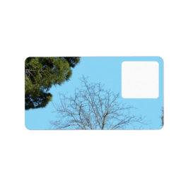 Adressetikett stil design