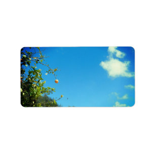 ADRESSETIKETTER