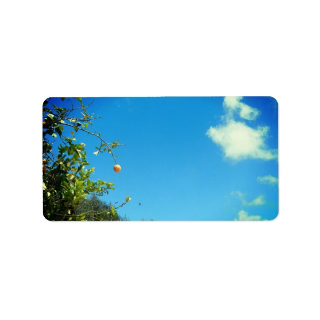 ADRESSETIKETTER (Framsidan)