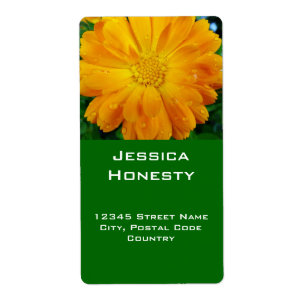 adressetiketter av orange gerbera daisy fraktsedel