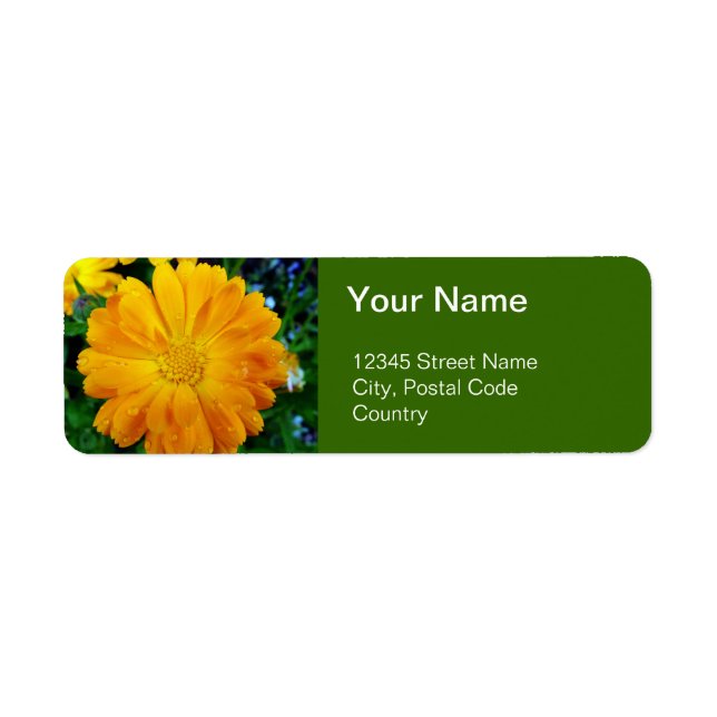 adressetiketter av orange gerbera daisy returadress etikett (Framsidan)