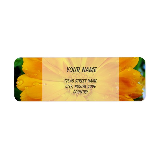 adressetiketter av orange gerbera daisy returadress etikett (Framsidan)