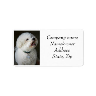 Adressetiketter Bichon Frise