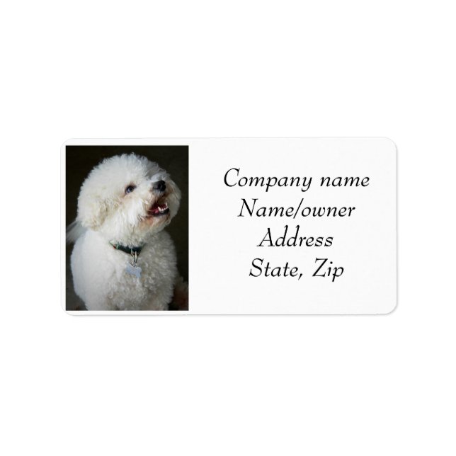 Adressetiketter Bichon Frise (Framsidan)