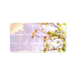 ADRESSETIKETTER COOL ECO-FORMAT ESIGN